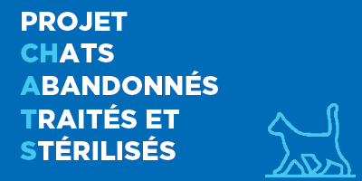 Timbre Projet chats
